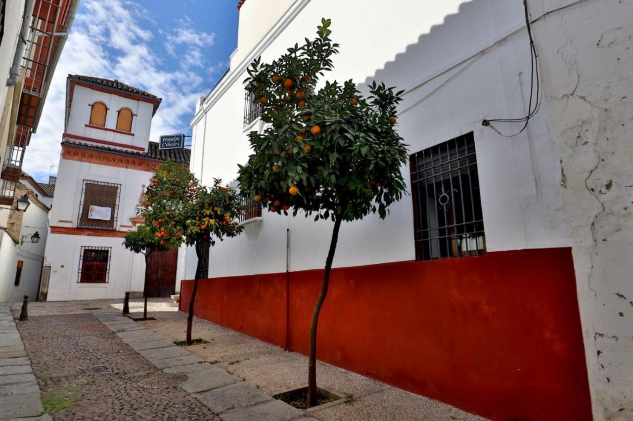 Pension Cibeles Кордова Экстерьер фото